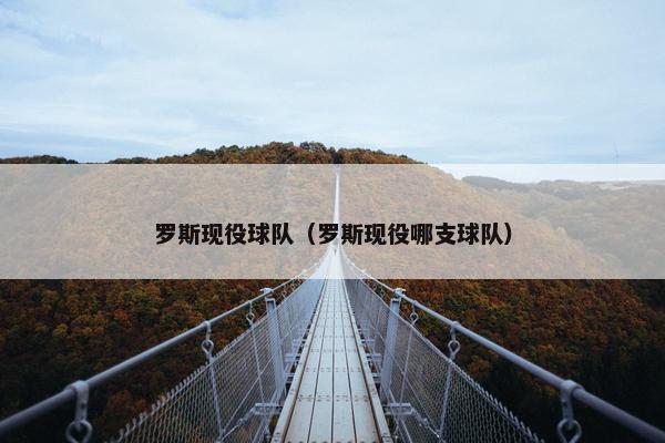 罗斯现役球队（罗斯现役哪支球队）