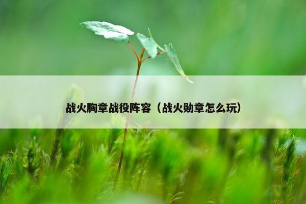 战火胸章战役阵容（战火勋章怎么玩）