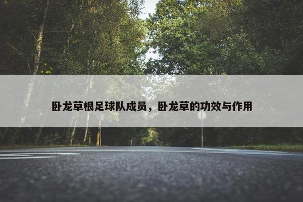 卧龙草根足球队成员，卧龙草的功效与作用