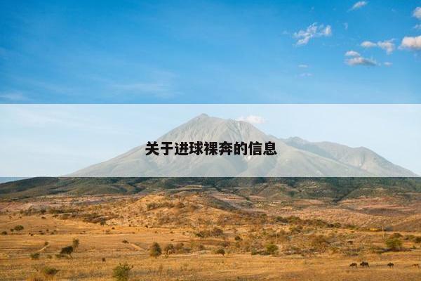 关于进球裸奔的信息 关于进球裸奔的信息