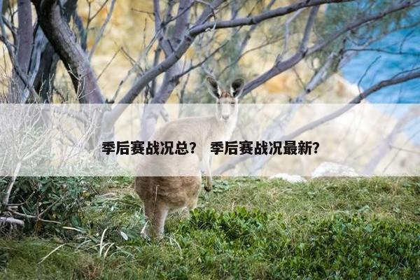 季后赛战况总？ 季后赛战况最新？