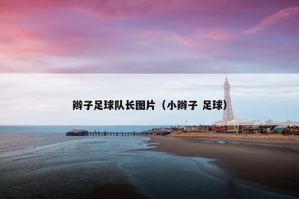 辫子足球队长图片（小辫子 足球）