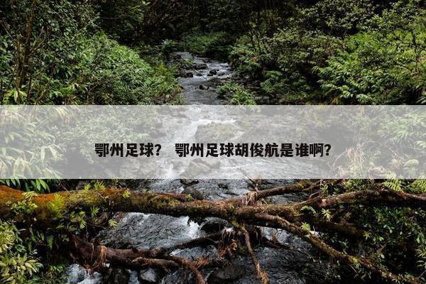 鄂州足球? 鄂州足球胡俊航是谁啊? 鄂州足球? 鄂州足球胡俊航是谁啊?