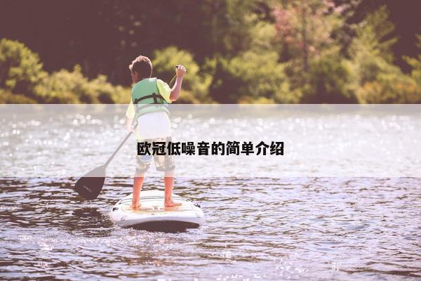 欧冠低噪音的简单介绍