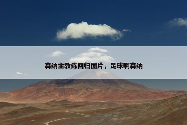 森纳主教练回归图片，足球啊森纳