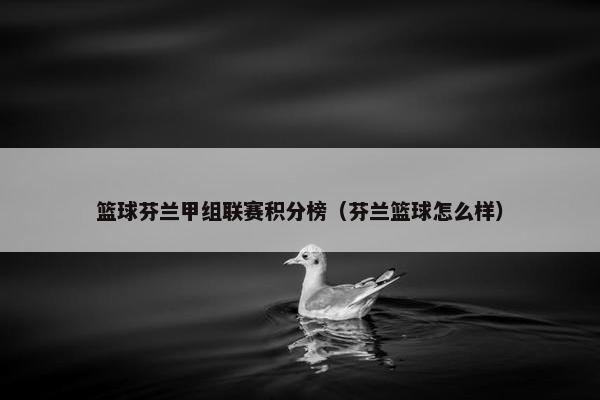 篮球芬兰甲组联赛积分榜（芬兰篮球怎么样）