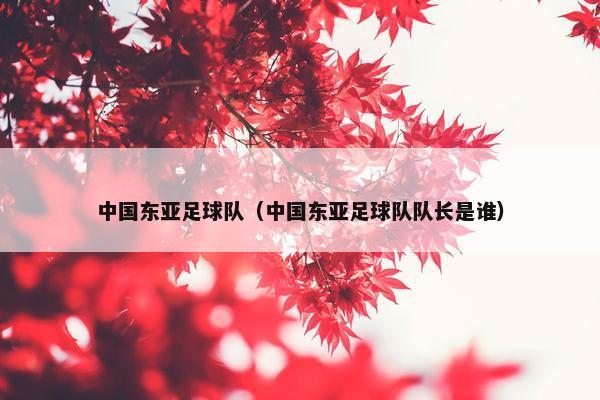 中国东亚足球队（中国东亚足球队队长是谁）