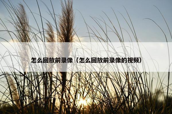 怎么回放前录像（怎么回放前录像的视频）