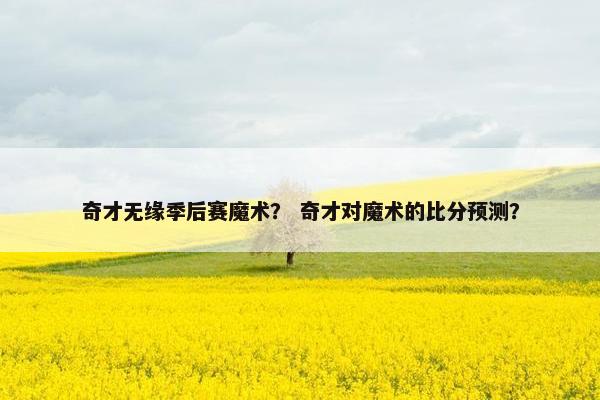 奇才无缘季后赛魔术？ 奇才对魔术的比分预测？