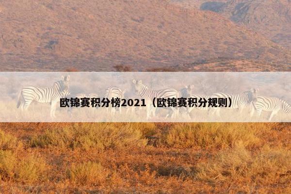 欧锦赛积分榜2021（欧锦赛积分规则）