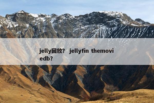 jelly回放？ jellyfin themoviedb？