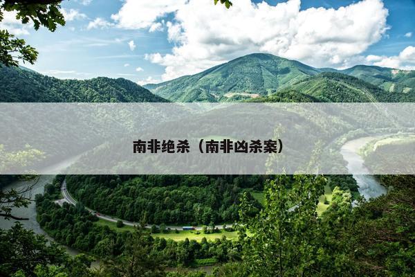 南非绝杀（南非凶杀案）