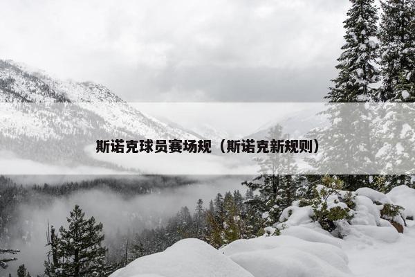 斯诺克球员赛场规（斯诺克新规则）