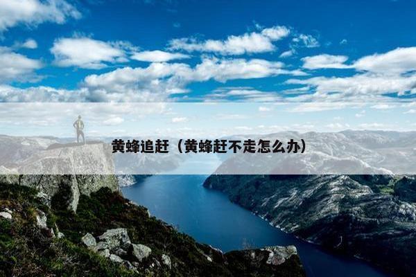 黄蜂追赶（黄蜂赶不走怎么办）