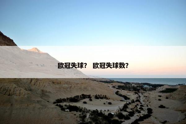 欧冠失球？ 欧冠失球数？