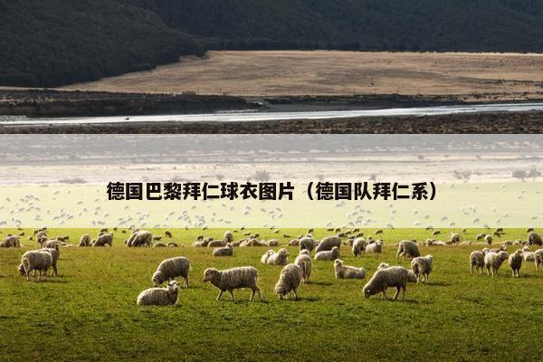 德国巴黎拜仁球衣图片（德国队拜仁系）