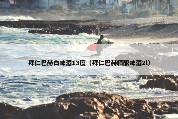 拜仁巴赫白啤酒13度（拜仁巴赫精酿啤酒2l）
