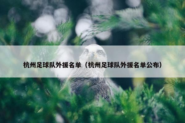 杭州足球队外援名单(杭州足球队外援名单公布) 杭州足球队外援名单(杭州足球队外援名单公布)