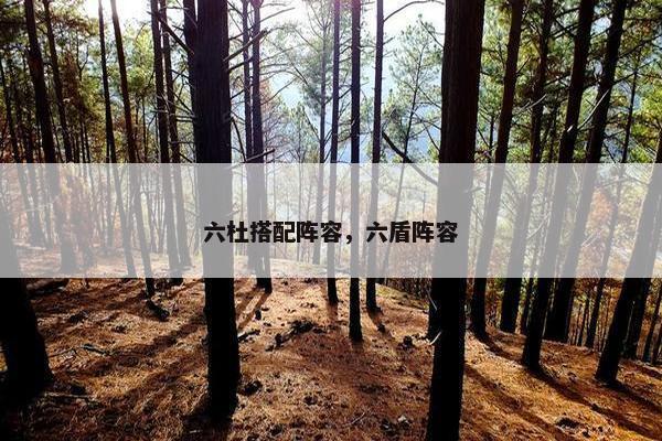 六杜搭配阵容，六盾阵容