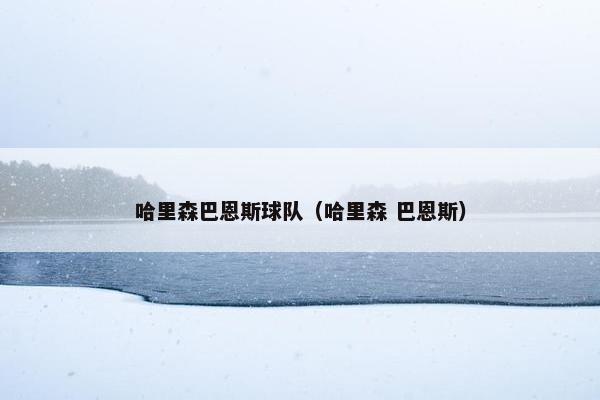 哈里森巴恩斯球队(哈里森 巴恩斯) 哈里森巴恩斯球队(哈里森 巴恩斯)