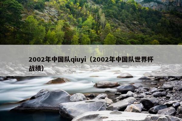 2002年中国队qiuyi（2002年中国队世界杯战绩）