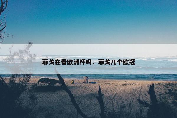 菲戈在看欧洲杯吗，菲戈几个欧冠