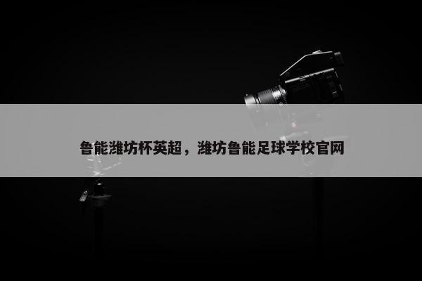 鲁能潍坊杯英超，潍坊鲁能足球学校官网