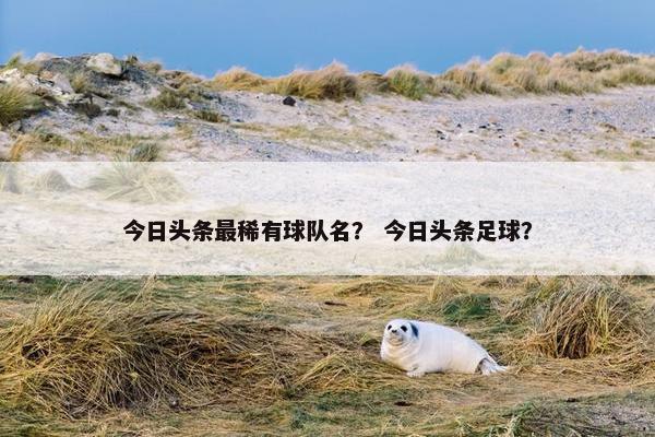 今日头条最稀有球队名？ 今日头条足球？