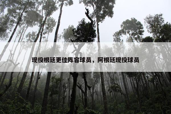 现役根廷更佳阵容球员，阿根廷现役球员