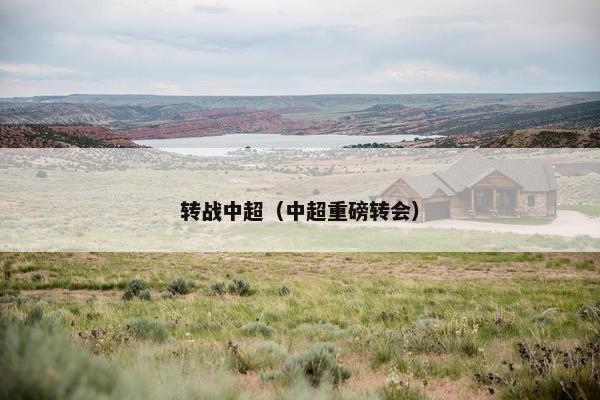 转战中超（中超重磅转会）