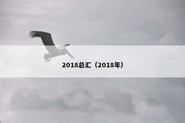 2018总汇（2018年）