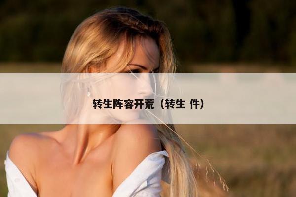 转生阵容开荒（转生 件）