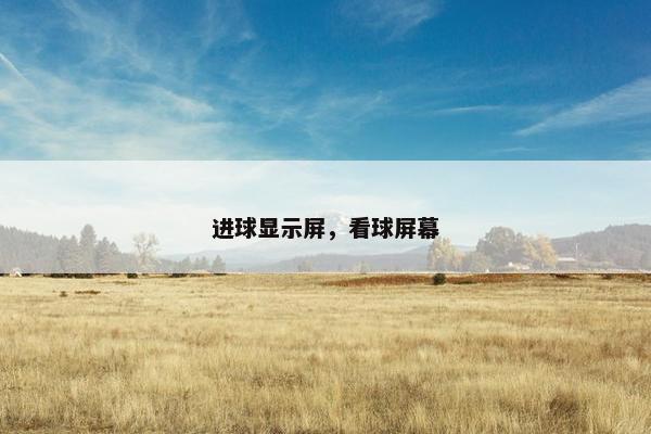 进球显示屏，看球屏幕