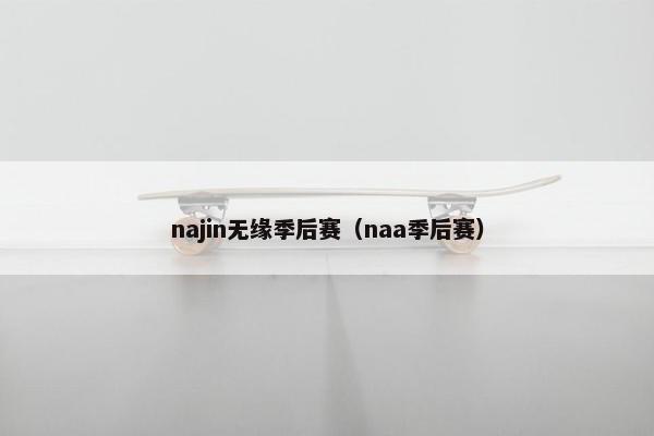 najin无缘季后赛（naa季后赛）