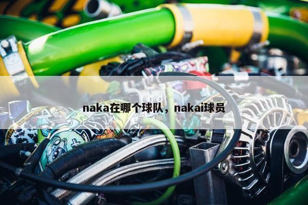 naka在哪个球队，nakai球员