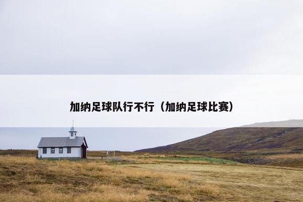 加纳足球队行不行（加纳足球比赛）