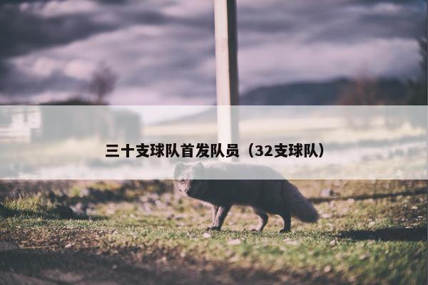 三十支球队首发队员（32支球队）