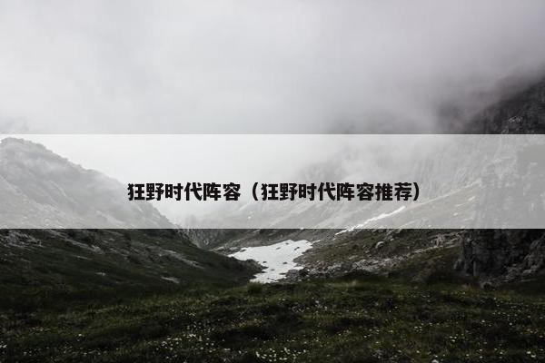 狂野时代阵容（狂野时代阵容推荐）