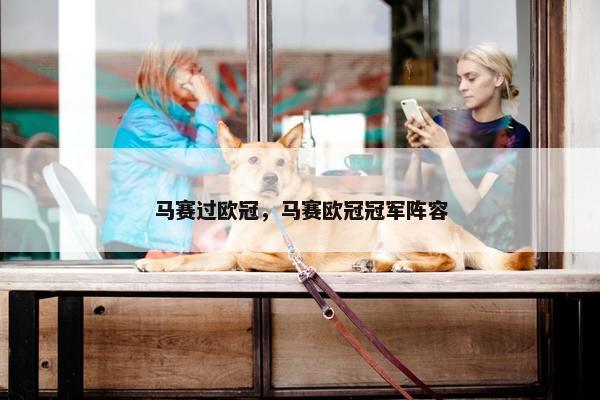 马赛过欧冠，马赛欧冠冠军阵容