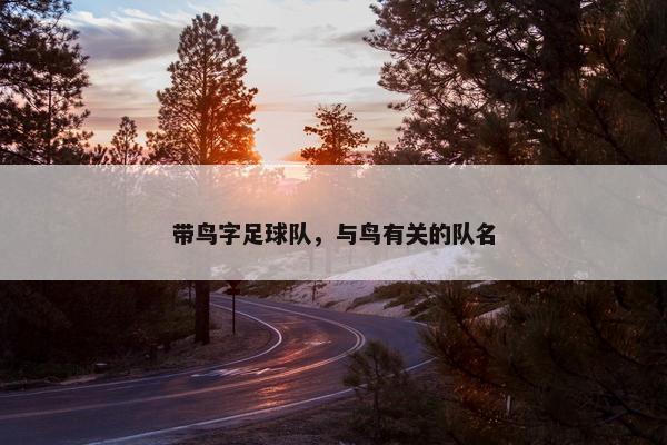 带鸟字足球队，与鸟有关的队名