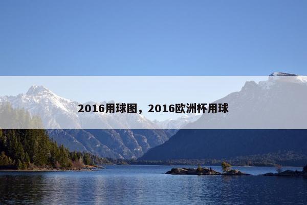 2016用球图，2016欧洲杯用球