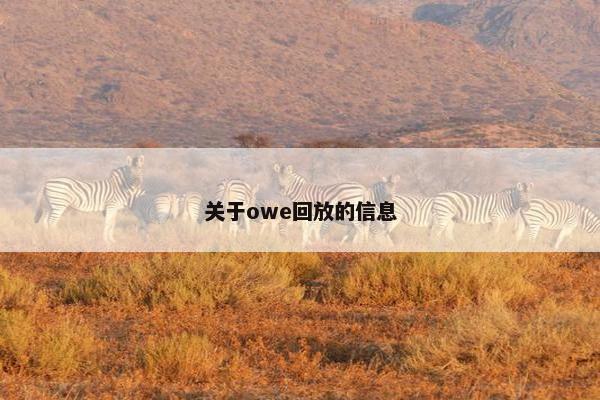 关于owe回放的信息