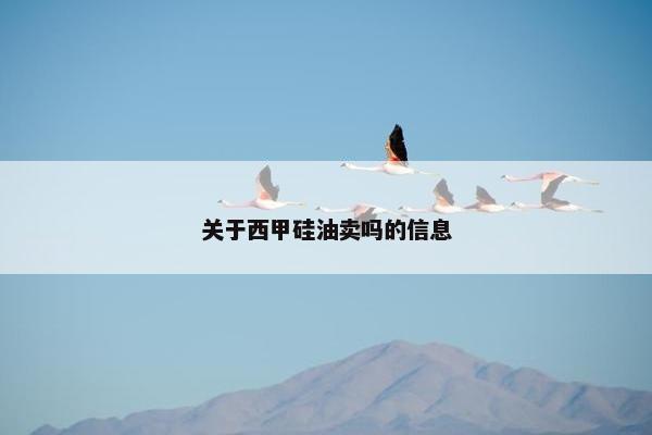 关于西甲硅油卖吗的信息