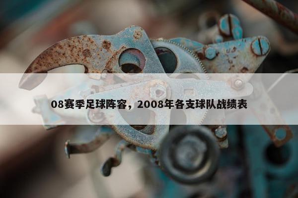 08赛季足球阵容，2008年各支球队战绩表