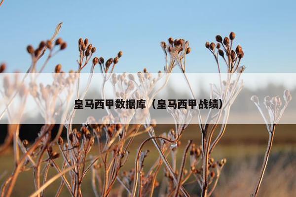 皇马西甲数据库（皇马西甲战绩）