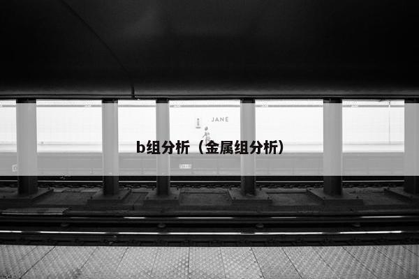 b组分析(金属组分析) b组分析(金属组分析)