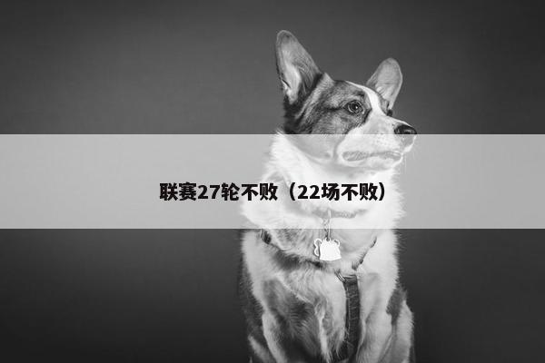联赛27轮不败（22场不败）