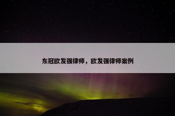 东冠欧发强律师，欧发强律师案例