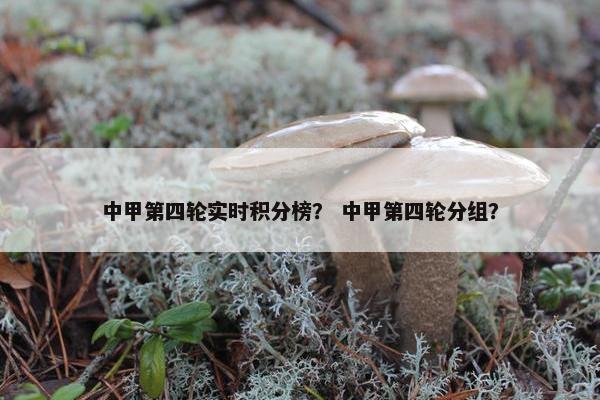 中甲第四轮实时积分榜？ 中甲第四轮分组？