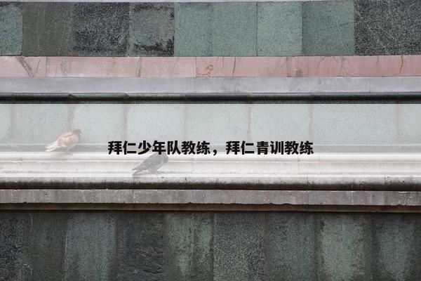 拜仁少年队教练，拜仁青训教练